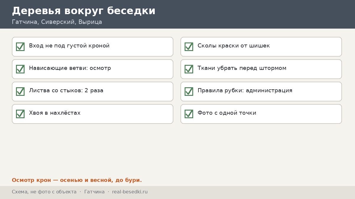 Чек-лист зимы и сырости, Гатчина