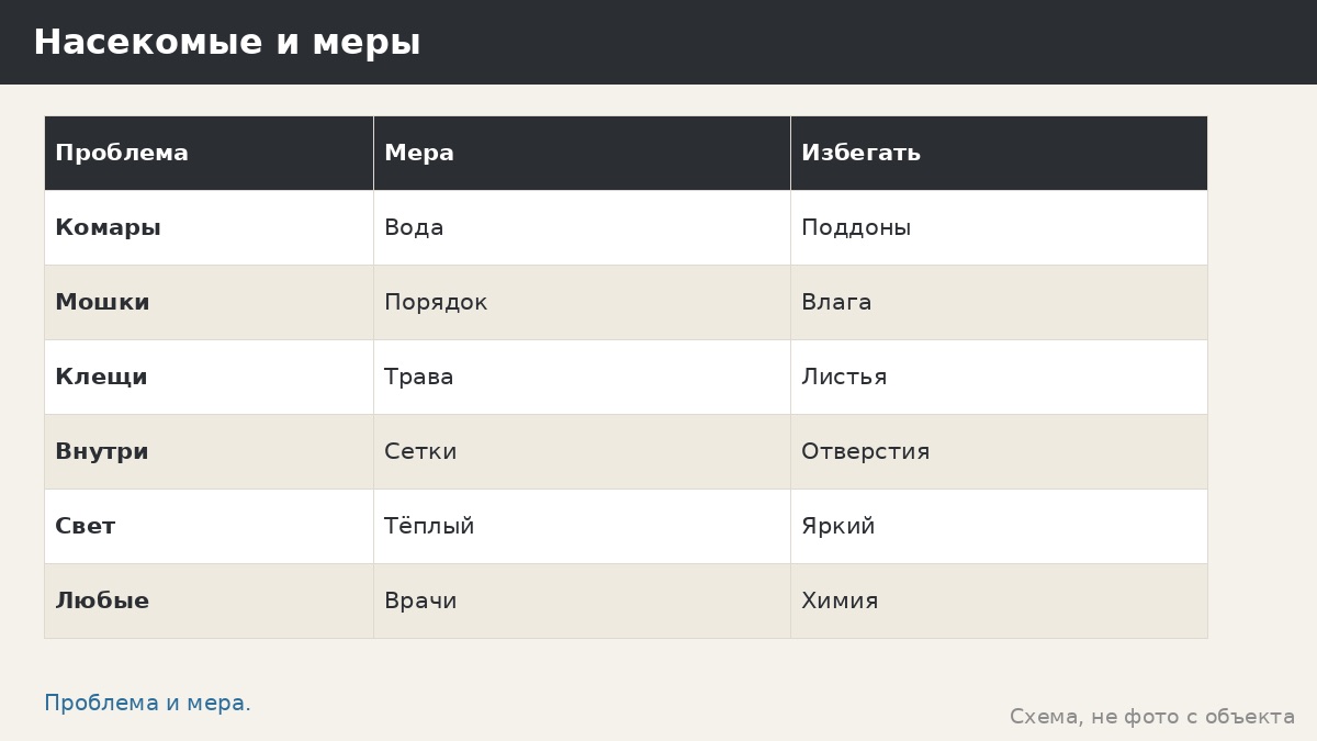Комары, мошки и клещи возле беседки: организационные меры без химии
