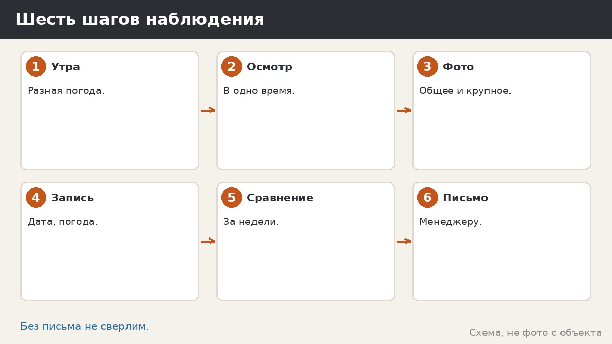Шесть шагов наблюдения