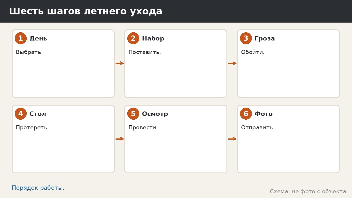 Шесть шагов летнего ухода